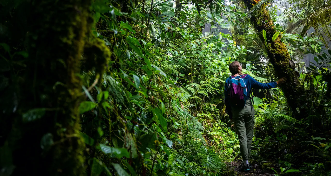 A young woman is hiking in the cloud forest of Monteverde