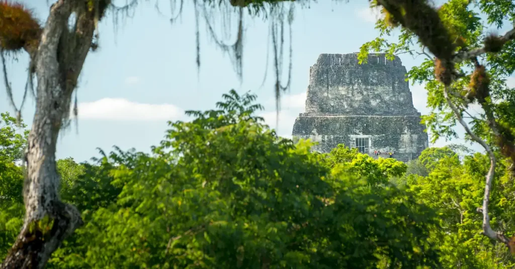 The top of the temple IV above the jungle of Tikal