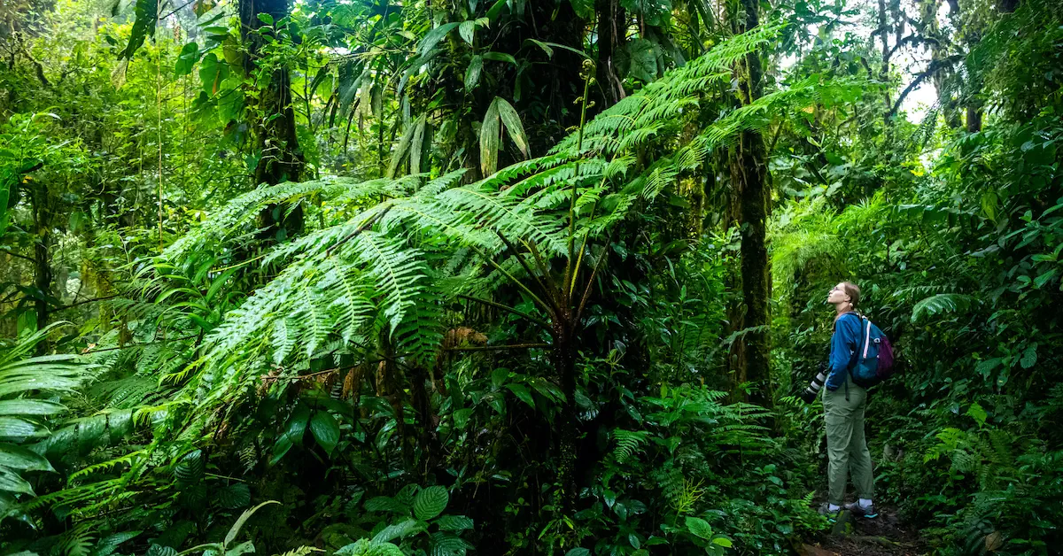 A young woman is looking at the green vegetation in the cloud forest of Monteverde