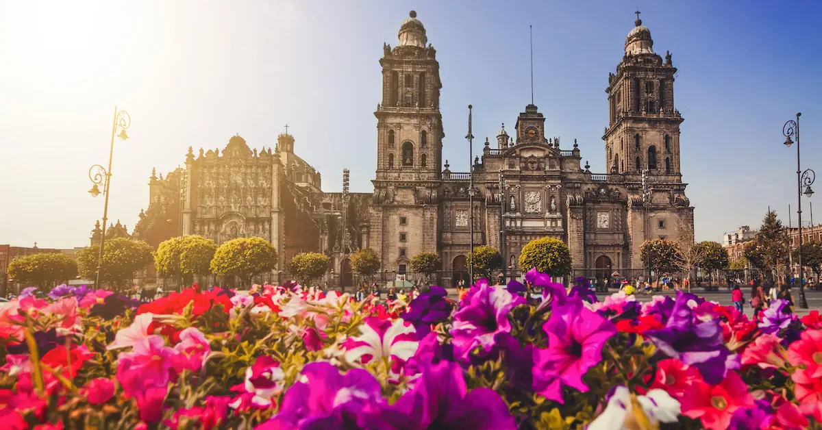 The Metropolitan Cathedral of Mexico City during a sunny photo taken behind flowers