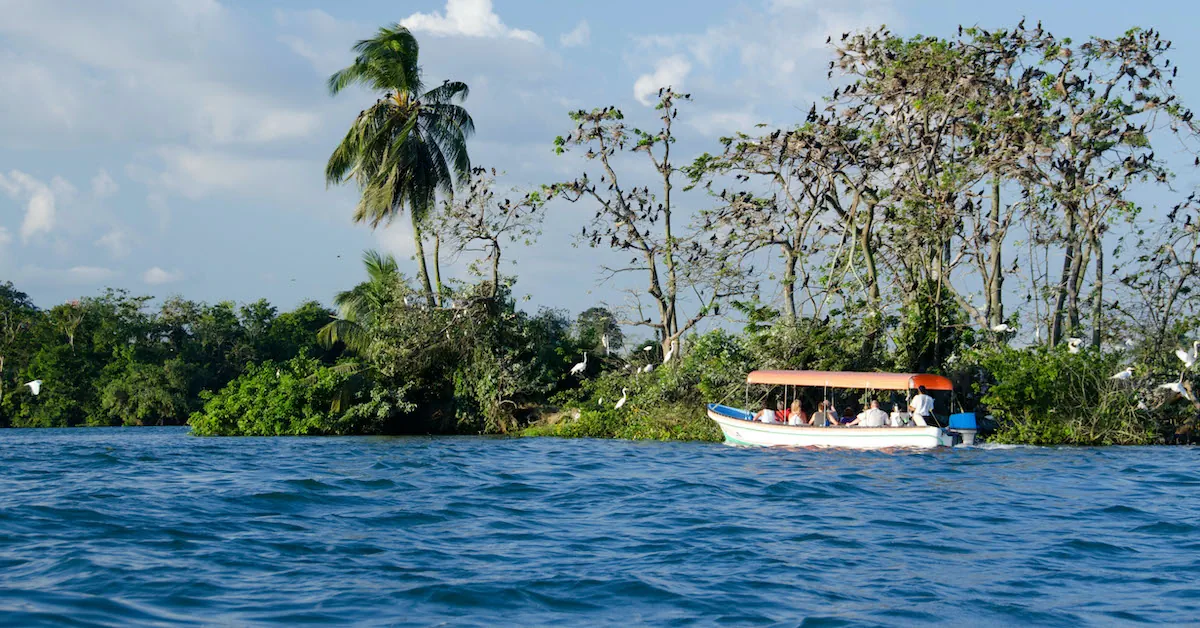 A boat tour is passing in front of a birding island in Rio Dulce