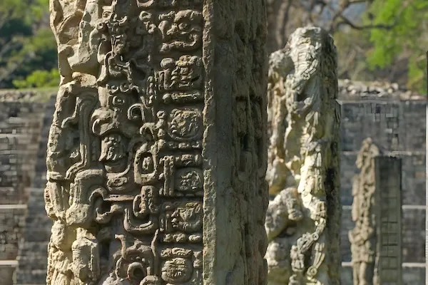 Two stelae with intricate carvings in the Maya ruins of Copan