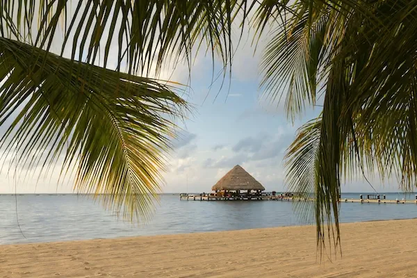 Palm leaves and a long dock in the beach of Placencia
