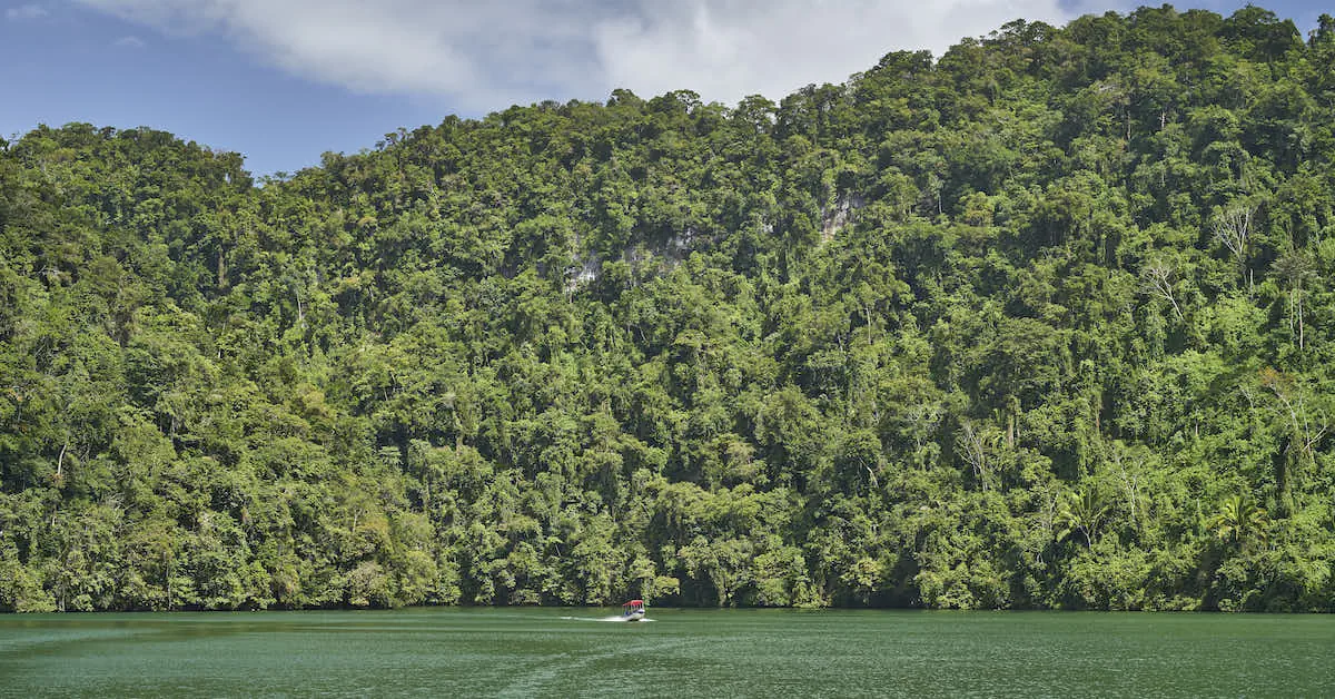 A motor boat sails in Rio Dulce with the the green rainforest in the background