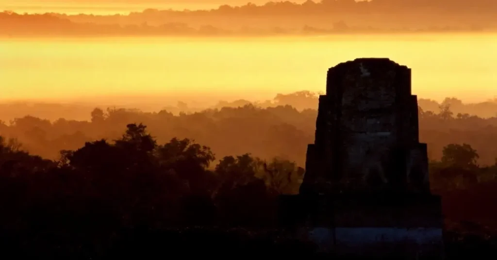 The top of Temple III rising above the jungle canopy during sunset in Tikal