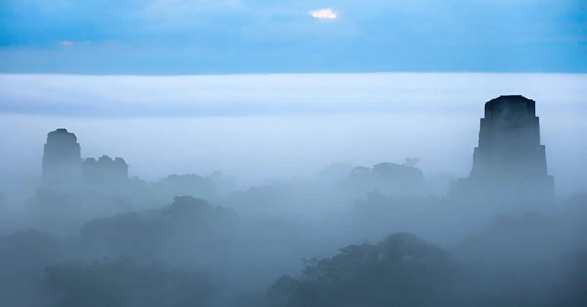 The top of the Maya temples rising above the canopy jungle during a foggy sunset