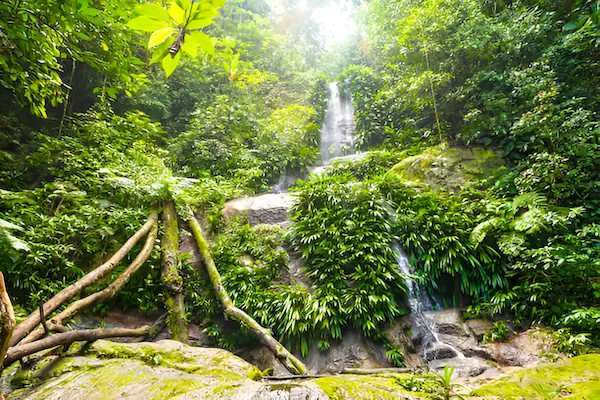 Waterfalls surrounded in the middle of green vegetation in the national park El Imposible