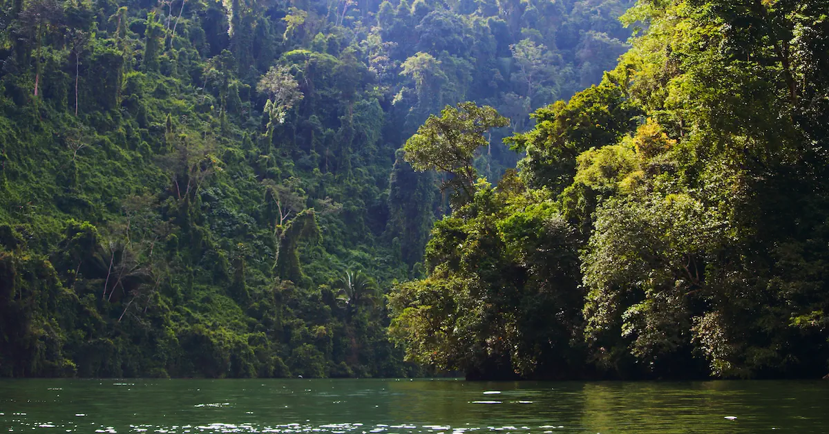 The canyon of Rio Dulce surrounded by breathtaking rainforest