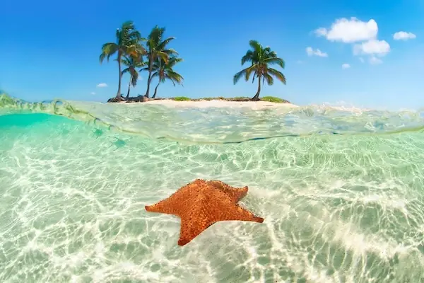 A starfish is under the crystal clear waters of the Caribbean with one of the little islands of Cayos Cochinos in the background