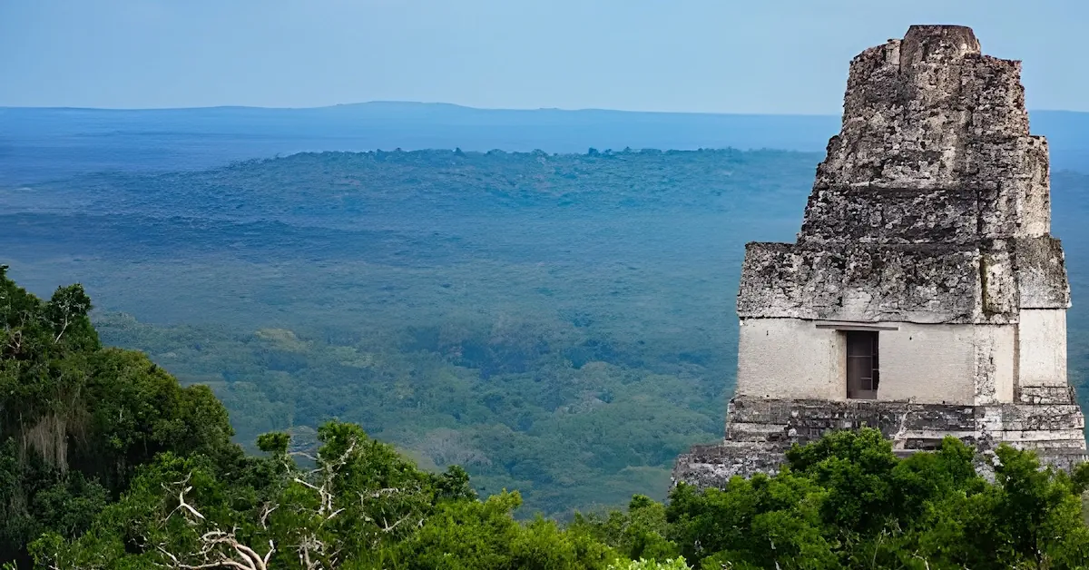 Ancient Mayan stone temple rising above the vast, lush green jungle canopy of Tikal, Guatemala, under a clear blue sky.