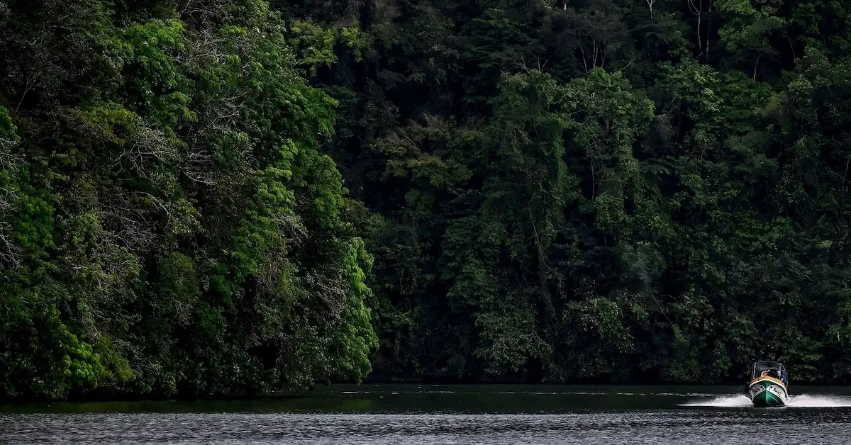 A motor boat is navigating in Rio Dulce surrounded by rainforest