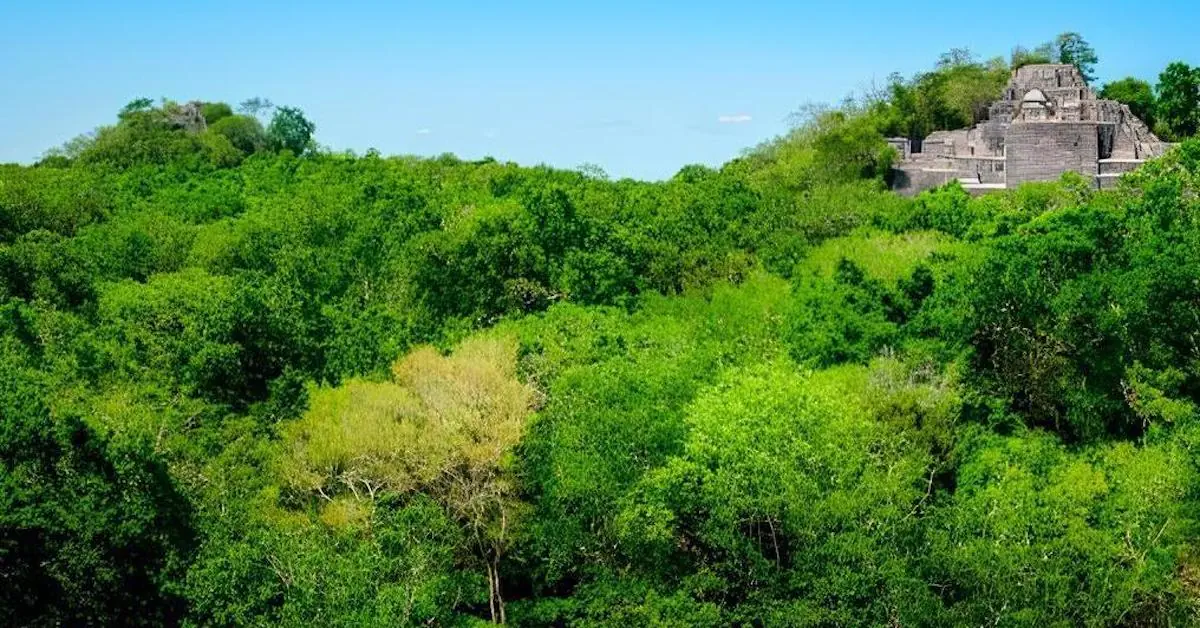 The Great Pyramid in the Biosphere and Archaeological site of Calakmul, Mexico