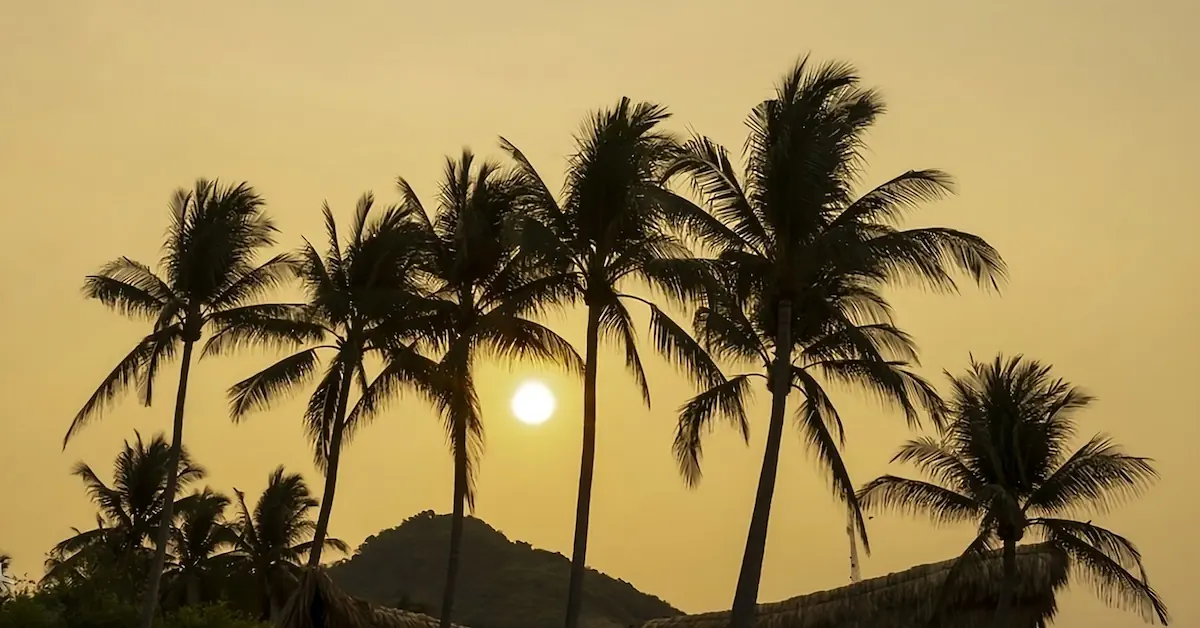 Silhouetted palm trees frame a golden sun over a tropical hill in El Salvador at dusk. Thatch roofs sit below.