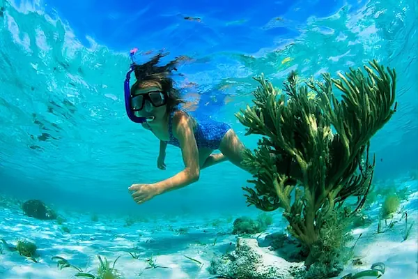 A young girl is snorkeling in the barrier reef of Belize
