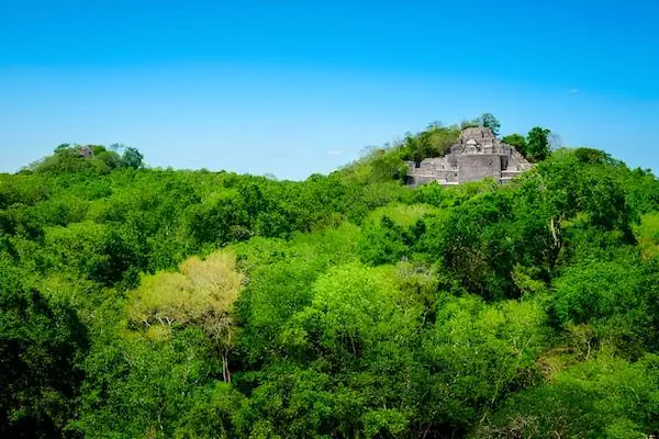 Ancient Maya pyramids of Calakmul rising high above a dense green jungle canopy under a bright blue sky in Mexico.