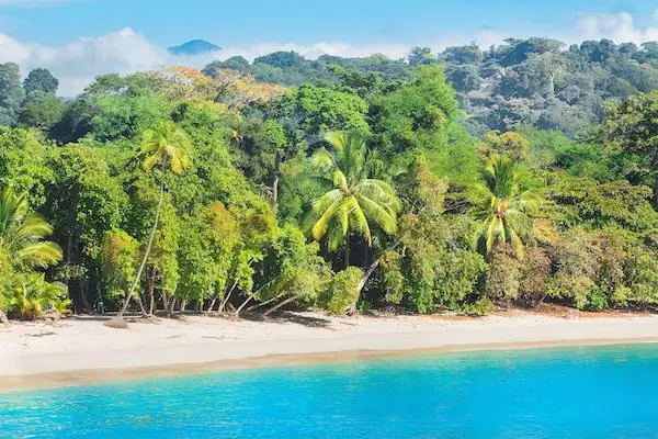 A panoramic view of a bright turquoise ocean bay, a sandy beach, and a lush, dense multi-layered tropical forest with prominent palm trees, under a blue sky with soft white clouds on Costa Rica's Pacific coast.