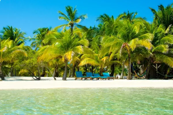 A beach with palm trees, white sand and crystal clear waters in South Water Caye