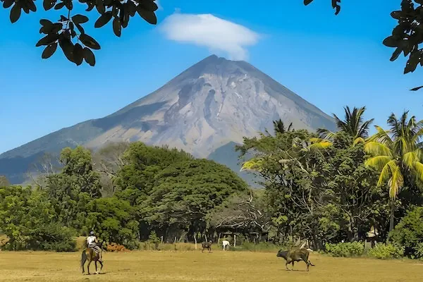 A person horseback riding through a lush green field with the massive peak of Concepcion Volcano rising in the background on Ometepe Island, Nicaragua.