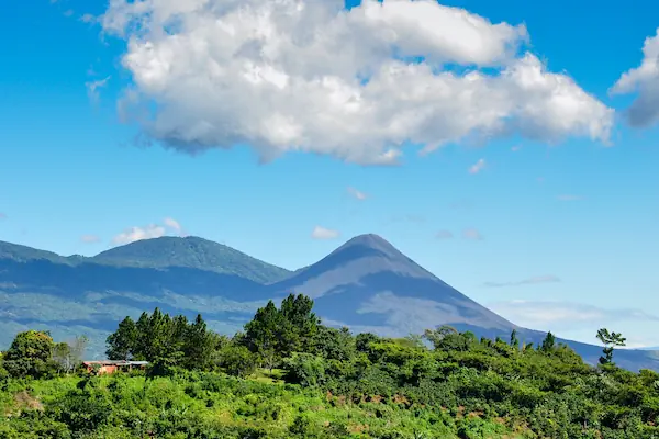 The Volcano Izalco in El Salvador during a sunny day surrounded by green vegetation