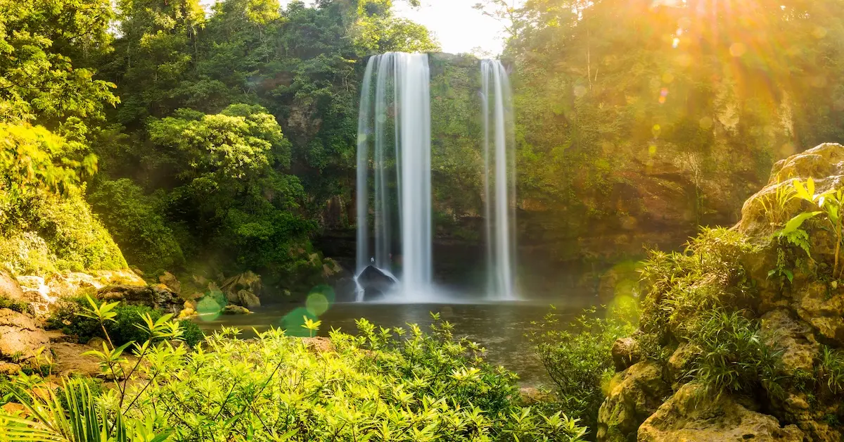 Misol-Ha waterfall cascading down a sheer rock wall into a jungle pool.